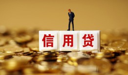 东莞急用钱哪有个人借贷-东莞急用钱小额贷款公司-东莞急用钱私借空放免费上门
